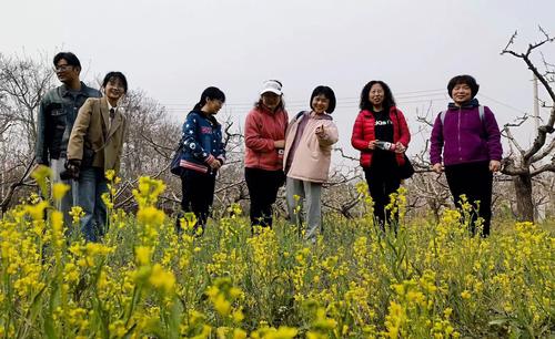 5山花烂漫，春色无边