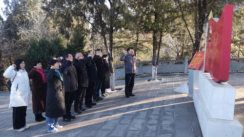 1.党员干部在宝塔山重温入党誓词