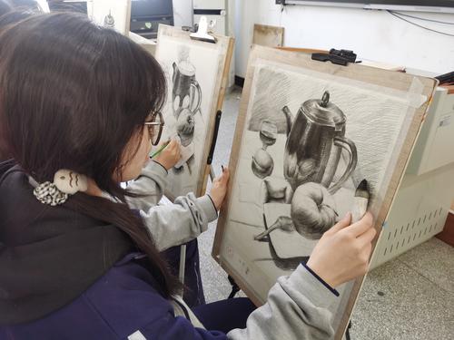 5.素描静物