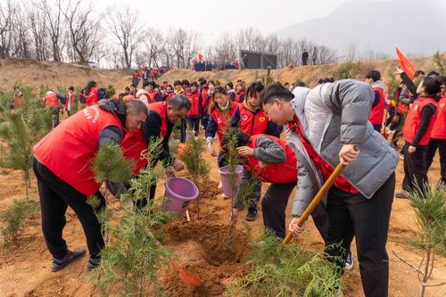 2.师生们植绿、护绿身影忙