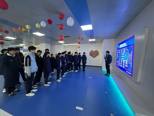 图片6