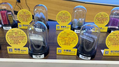 各类伪装毒品模型1